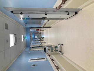 IMG 4734